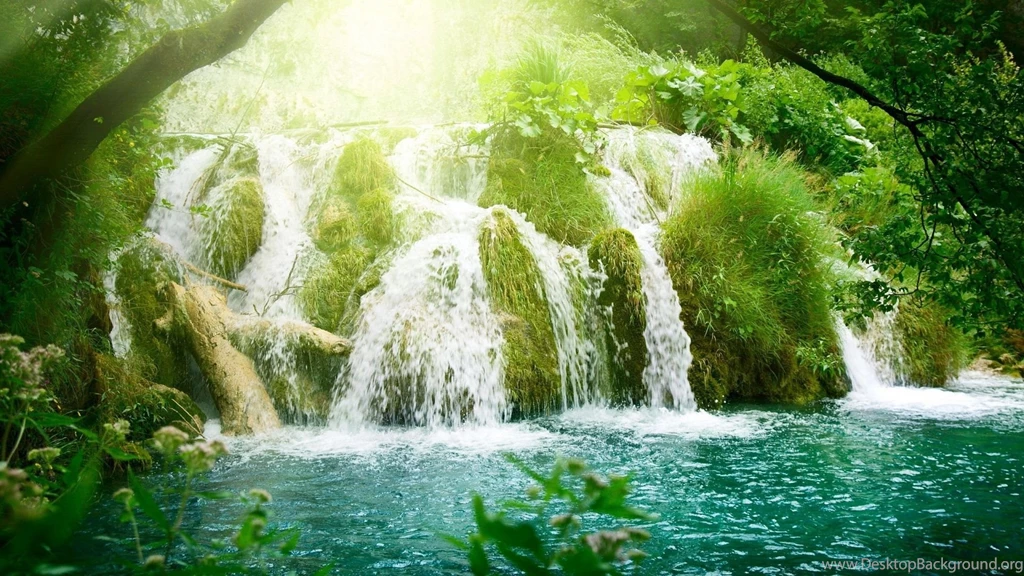 1920x1080 Waterfall Forest Wallpapers