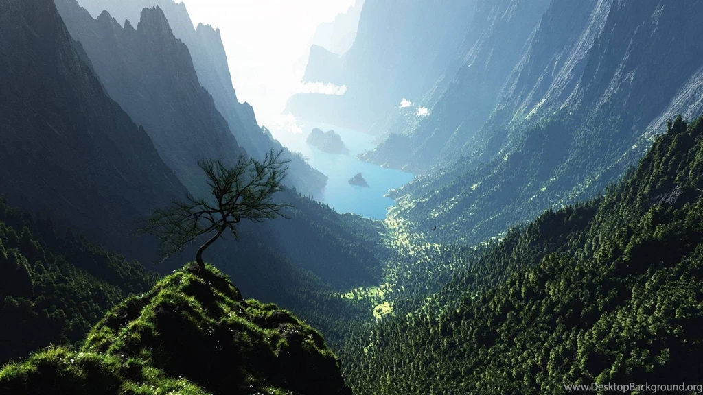 1920x1080 Valley Forest Panorama Wallpapers