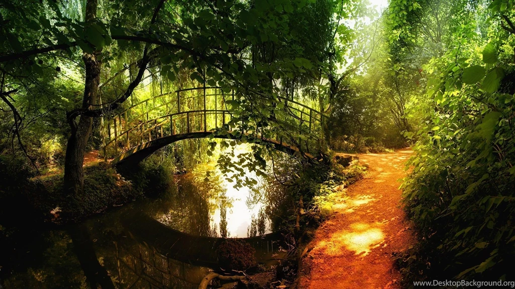 1920x1080 Forest Path Bridge Wallpapers