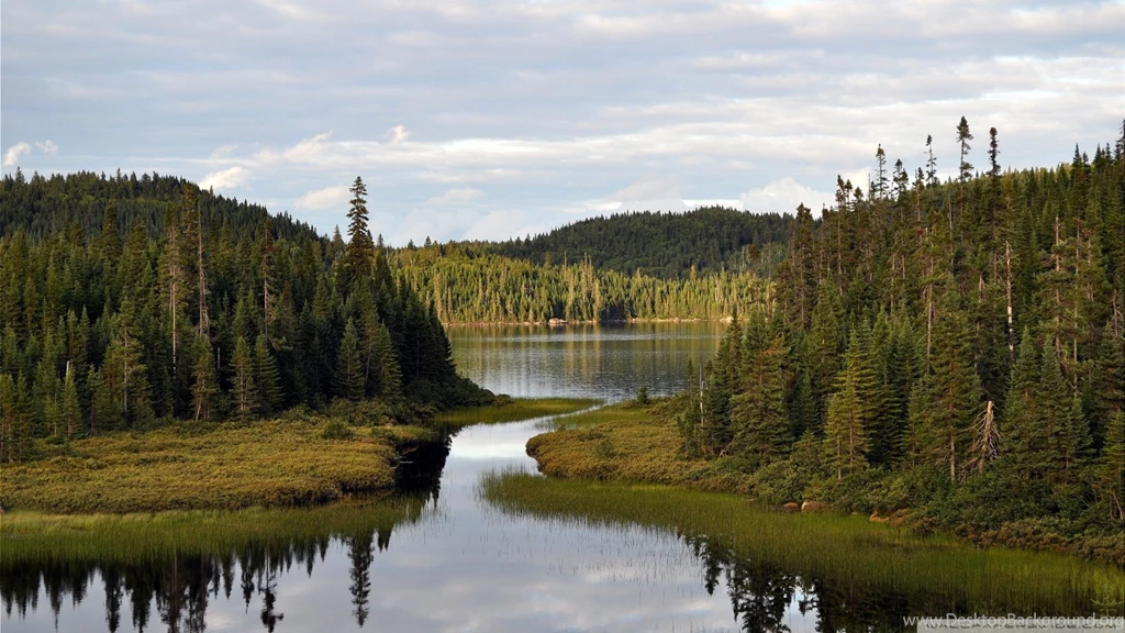Top Wallpapers Mountain Forest Lake Images For Pinterest