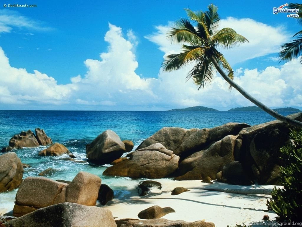Top Backgrounds Information On Natural Images For Pinterest