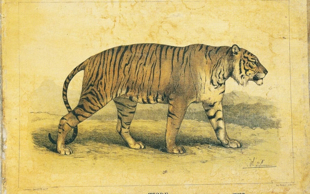 Wallpapers Tiger, Vintage, Country, Retro Free Desktop Wallpapers HD ...