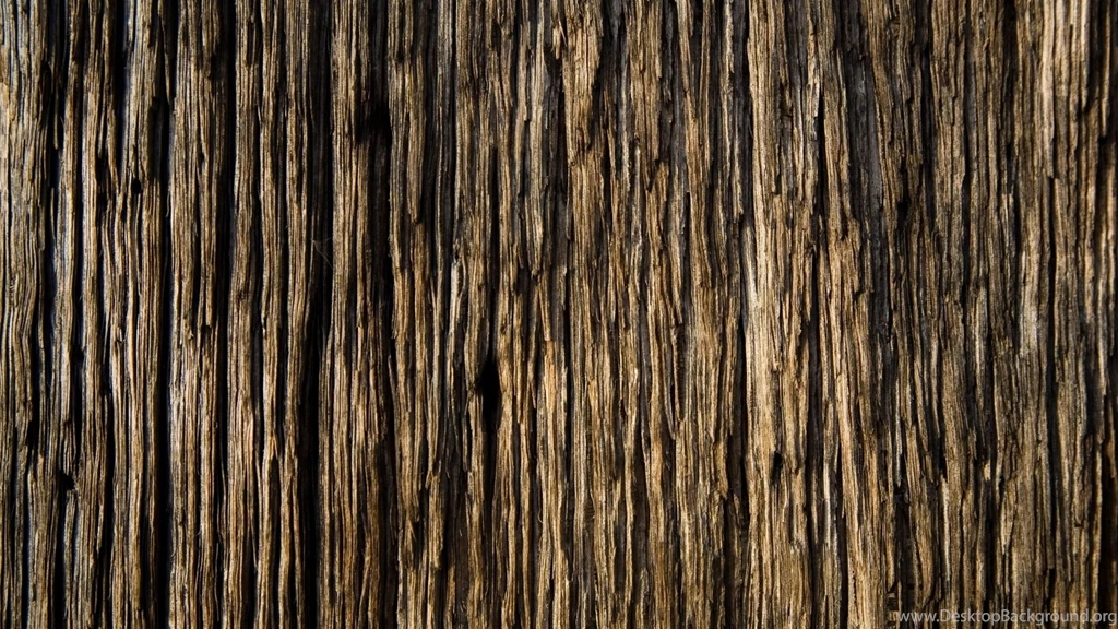 Download Wallpapers 3840x2160 Bark, Wood, Background, Texture 4K ...