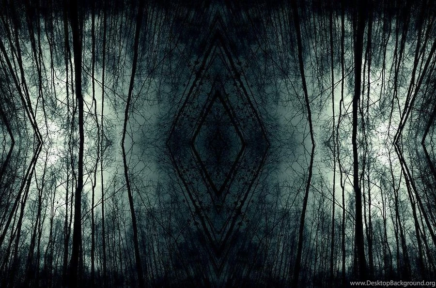 Dark Forest Backgrounds By Angellore69 On DeviantArt