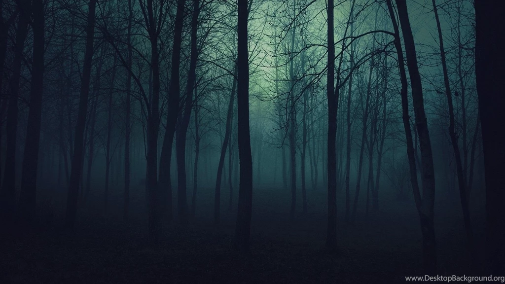 Dark Forest Wallpapers Photos Backgrounds
