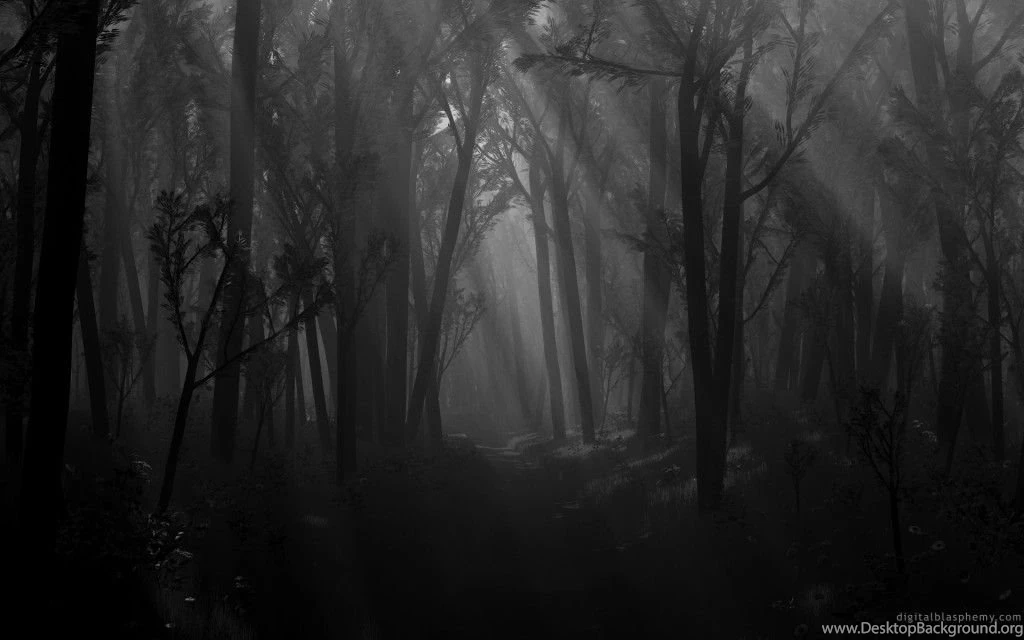 Dark Forest 1024x640.jpg