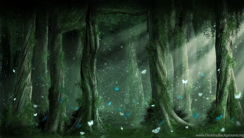 112 Forest HD Wallpapers