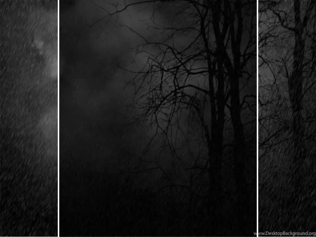 Myspace Dark Forest Backgrounds Pictures, Myspace Dark Forest ...