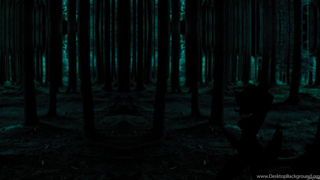 Dark Forest HD Wallpapers Widescreen Resolution