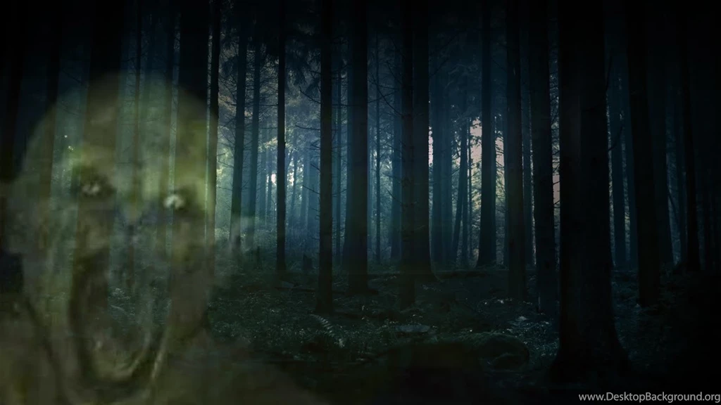 DARK FOREST Dark Ambient Creepy Horror Windy Stalker Music YouTube