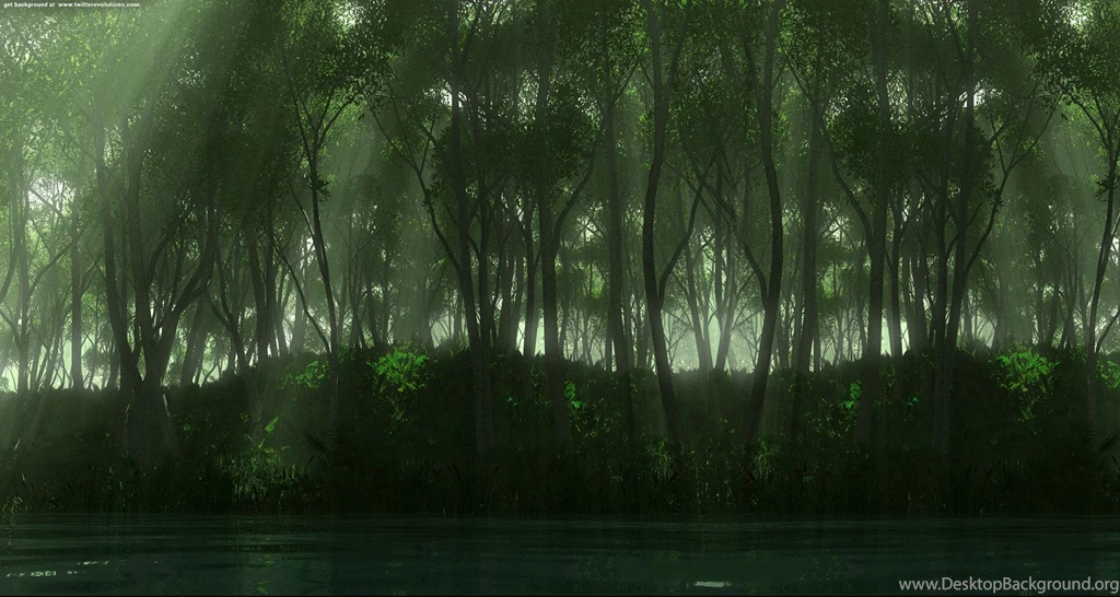 Dark Green Forest Twitter Backgrounds Twitterevolutions