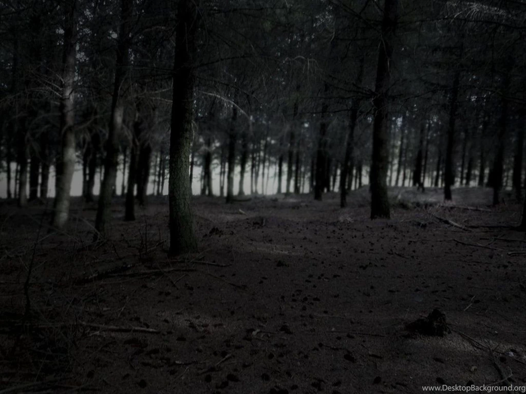 Dark Forest By Alexr13500 On DeviantArt