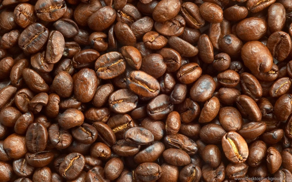 Development: Coffee Bean, Picture Nr. 57331