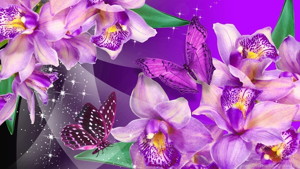 HQ DESKTOP WALLPAPERS: Purple Wallpapers And HD Backgrounds