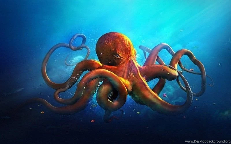 Underwater World Animals Octopus Ocean Sea Fantasy Artwork Art HD ...