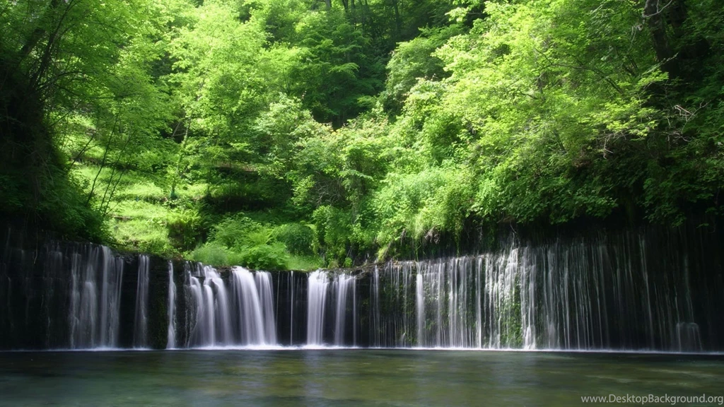 Beautiful Forest Scenery HD Wallpapers Zibrato