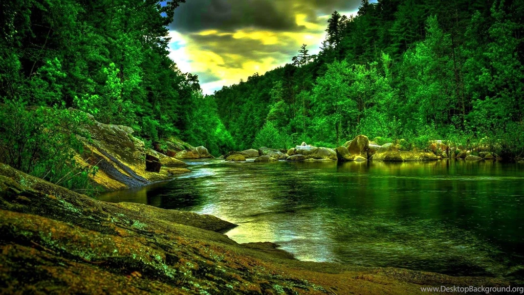Beautiful green forest river hdr hd wallpaper 504172 download.jpg