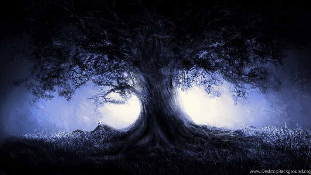 Dark Forest HD Wallpapers HD Wallpaper Backgrounds Of Your Choice