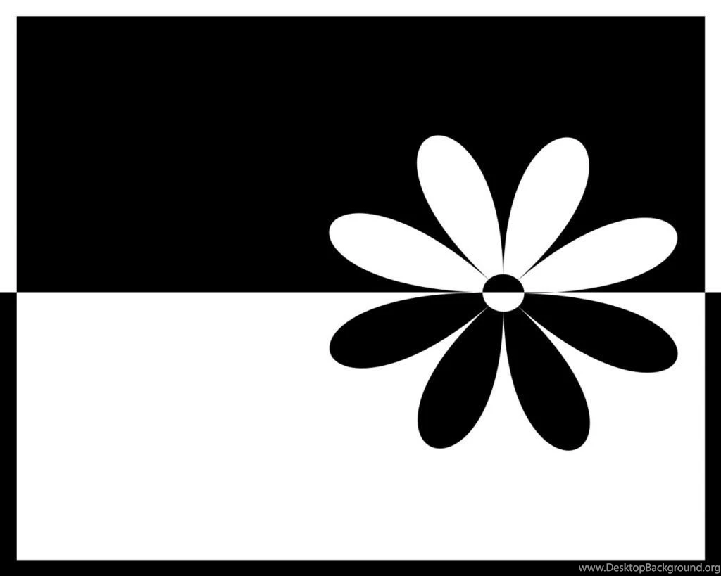 Black And White Abstract Flowers Wallpapers