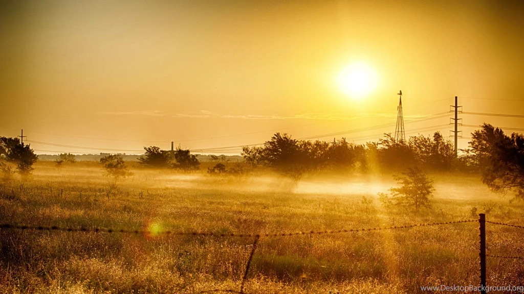 Download Wallpapers 1920x1080 Dawn, Grass, Sky, Summer, Light Full ...