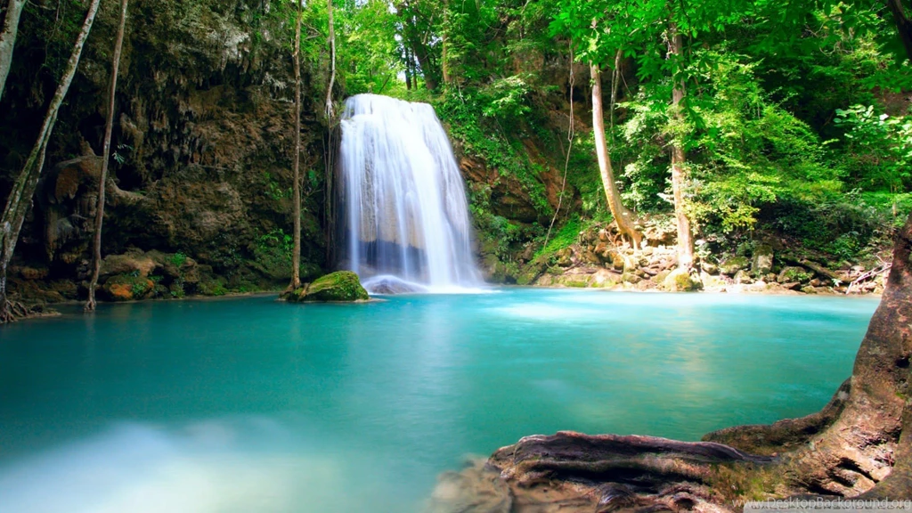 Water Nature Forests Summer Falls Lakes Wallpapers