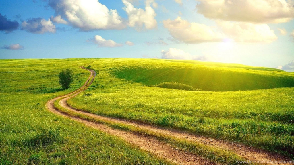 1920x1080 Summer Day Meadow Wallpapers