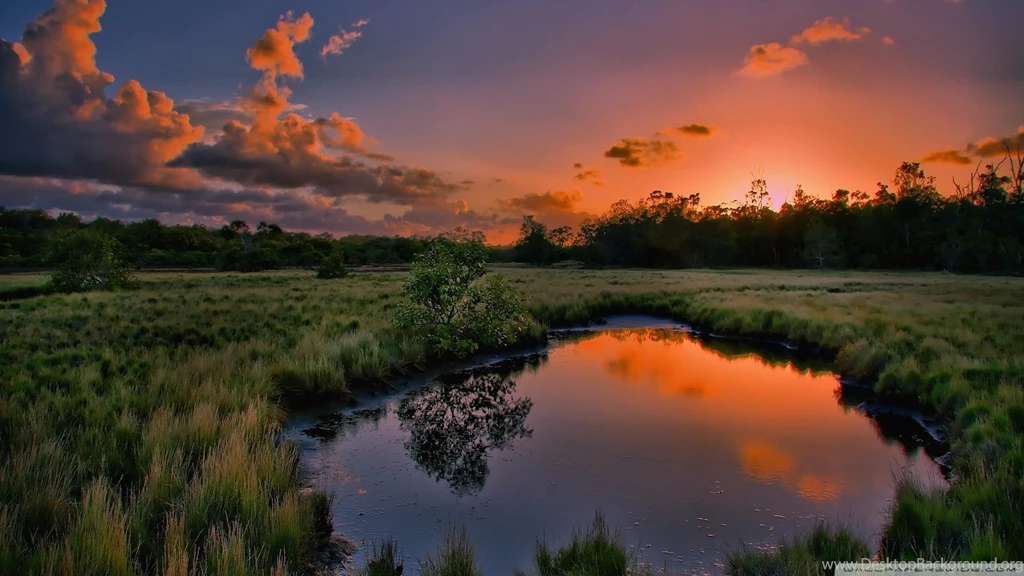 Sunset Summer Wallpapers 1920x1080   1527762