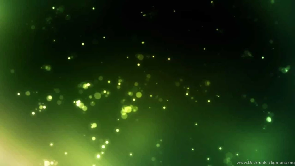 AmazonSwamp   FREE Video Backgrounds Loops HD 1080p   YouTube