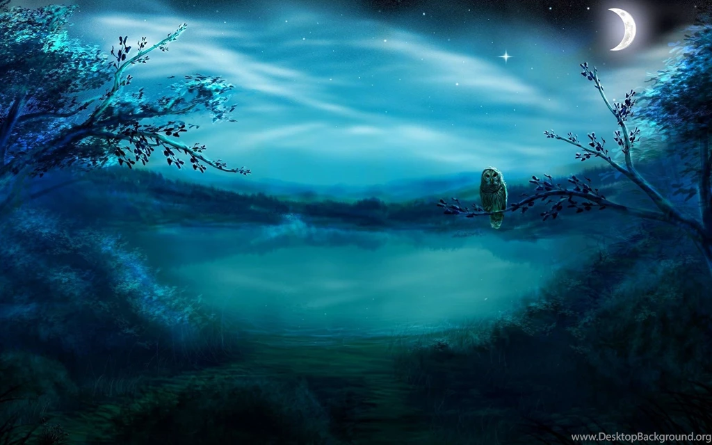 Beautiful night cool.jpg