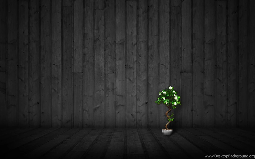 HIGH RESOLUTION DESKTOP WALLPAPER WALF1001