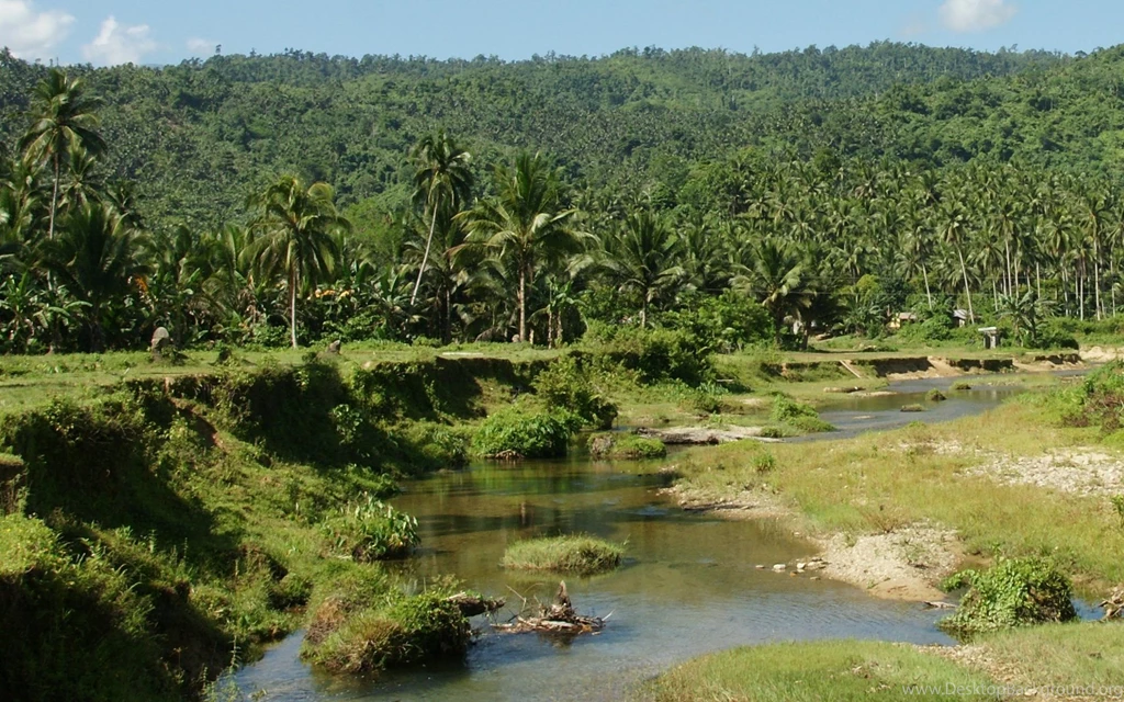 Top Jungle River Vegetation Images For Pinterest