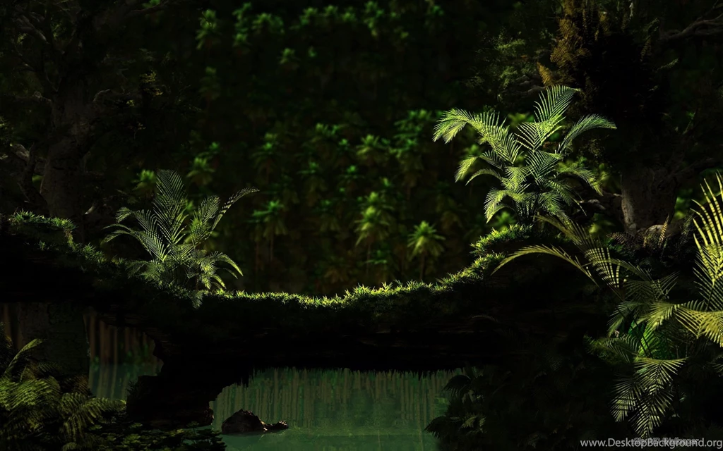 Jungle Gap HD Wallpapers