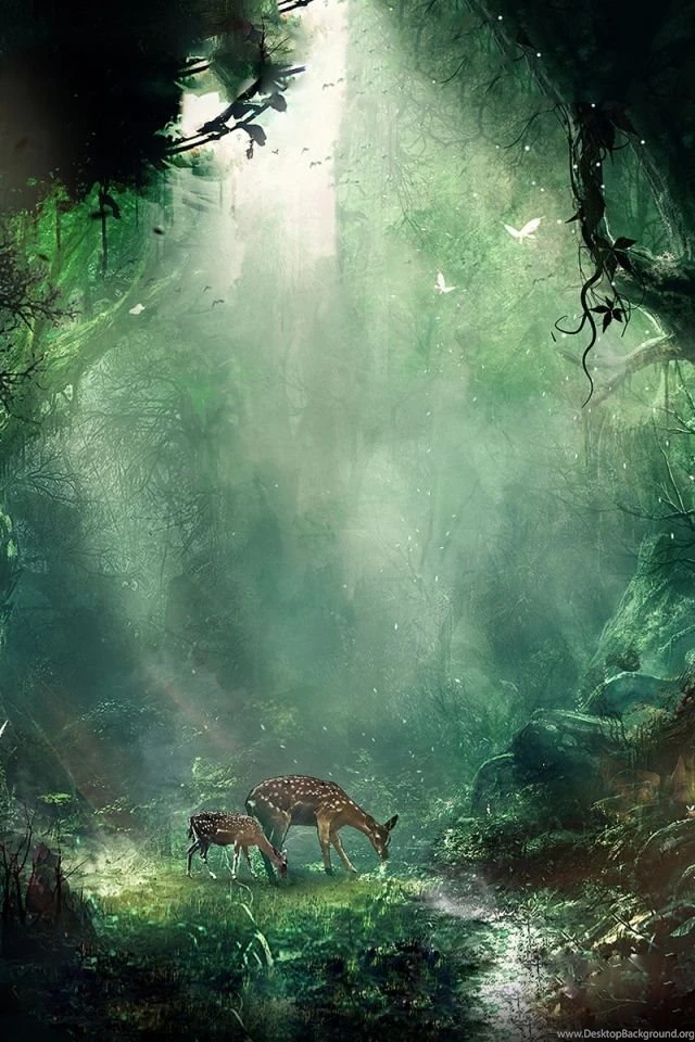 iPhone 4S, 4 Jungle Wallpapers HD, Desktop Backgrounds 640x960