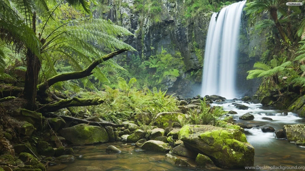 YouWall Jungle Forest Waterfall Wallpapers Wallpaper,wallpapers ...