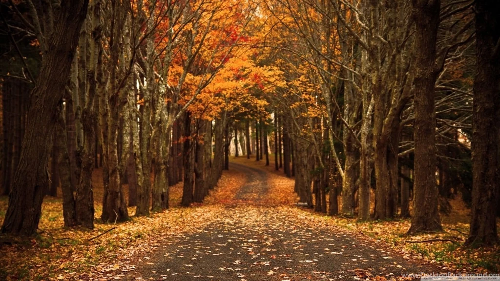 Late Autumn HD Desktop Wallpapers : High Definition : Mobile : Dual ...