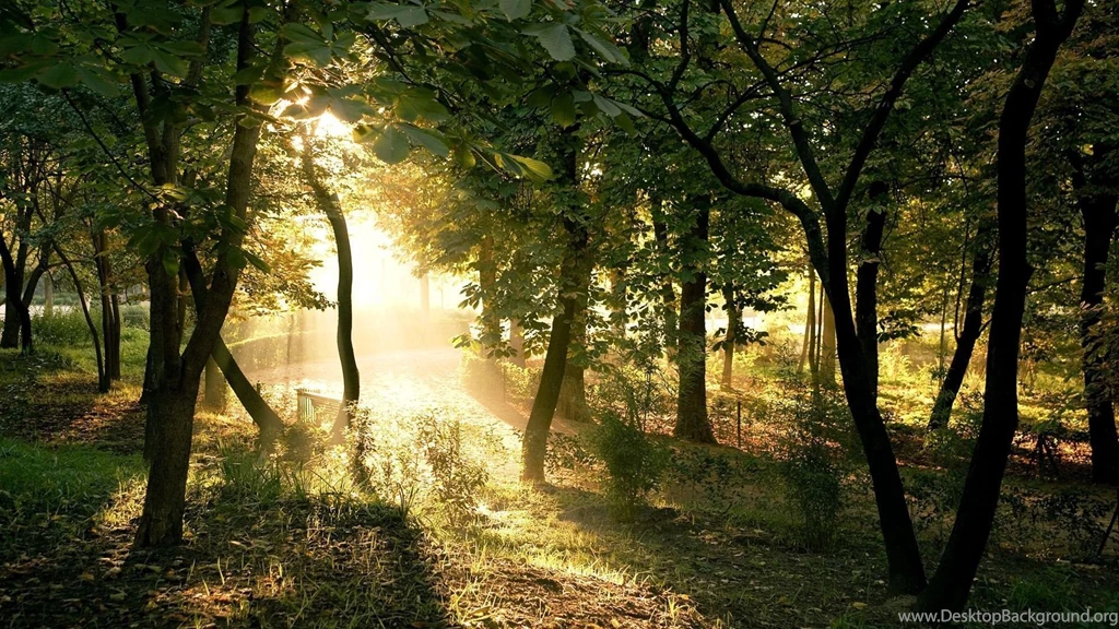 45 Desktop Wallpapers HD Backgrounds Available Here