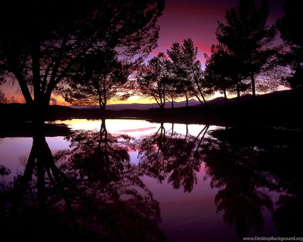 Backgrounds Desktop Wallpapers   370