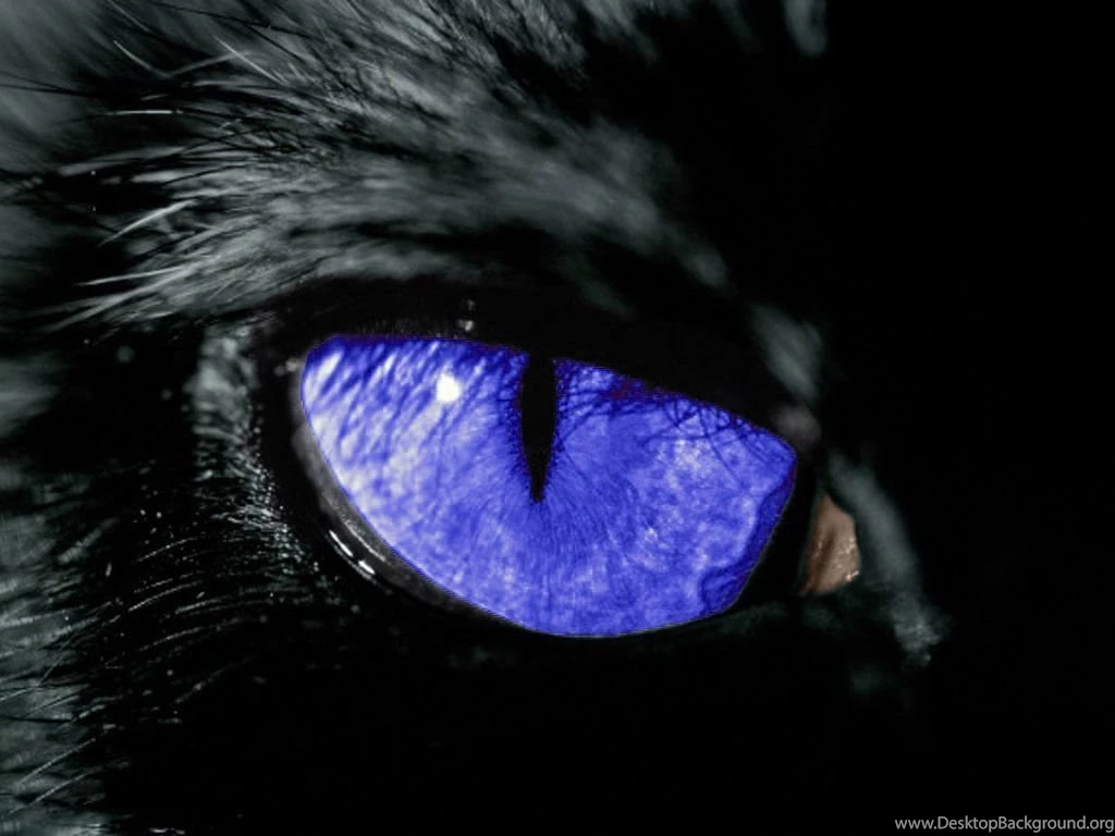 Blue Eye Wallpapers