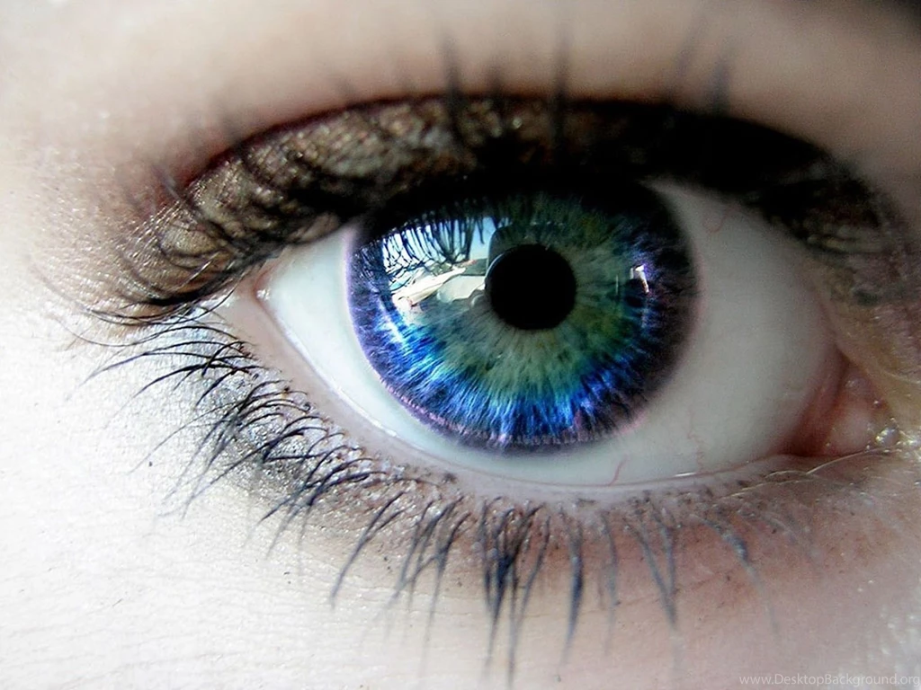Blue Eyes With Reflection Wallpapers And Images Wallpapers ...