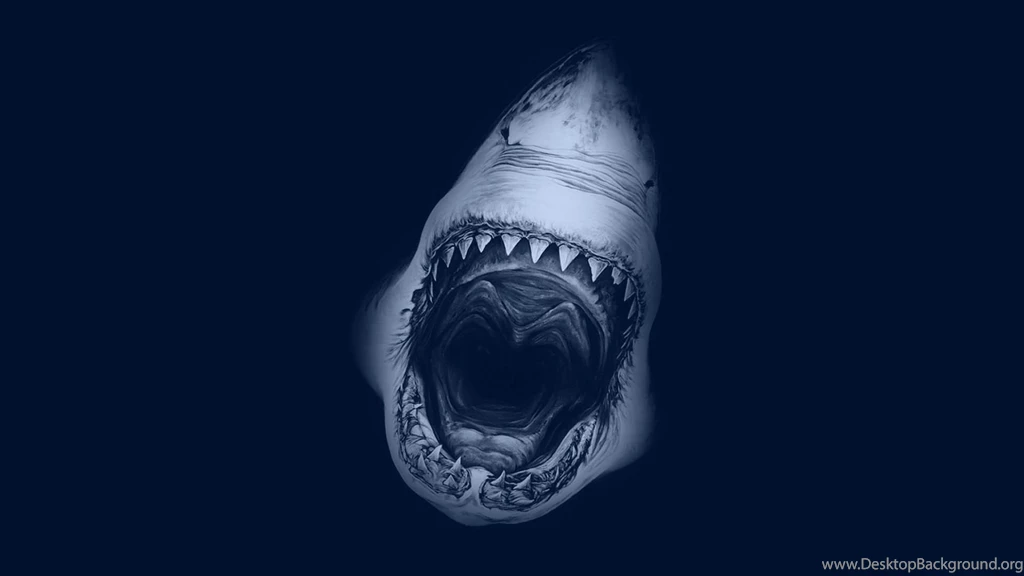 Jaws >> HD Wallpaper, Get It Now!