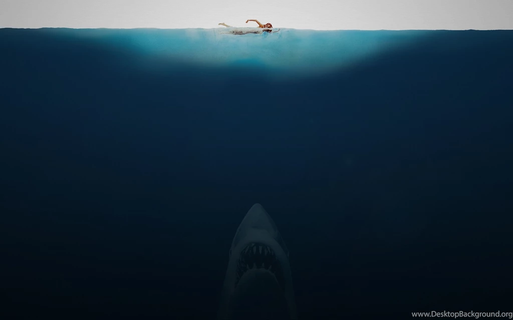 Shark Week Wallpapers   Imgur