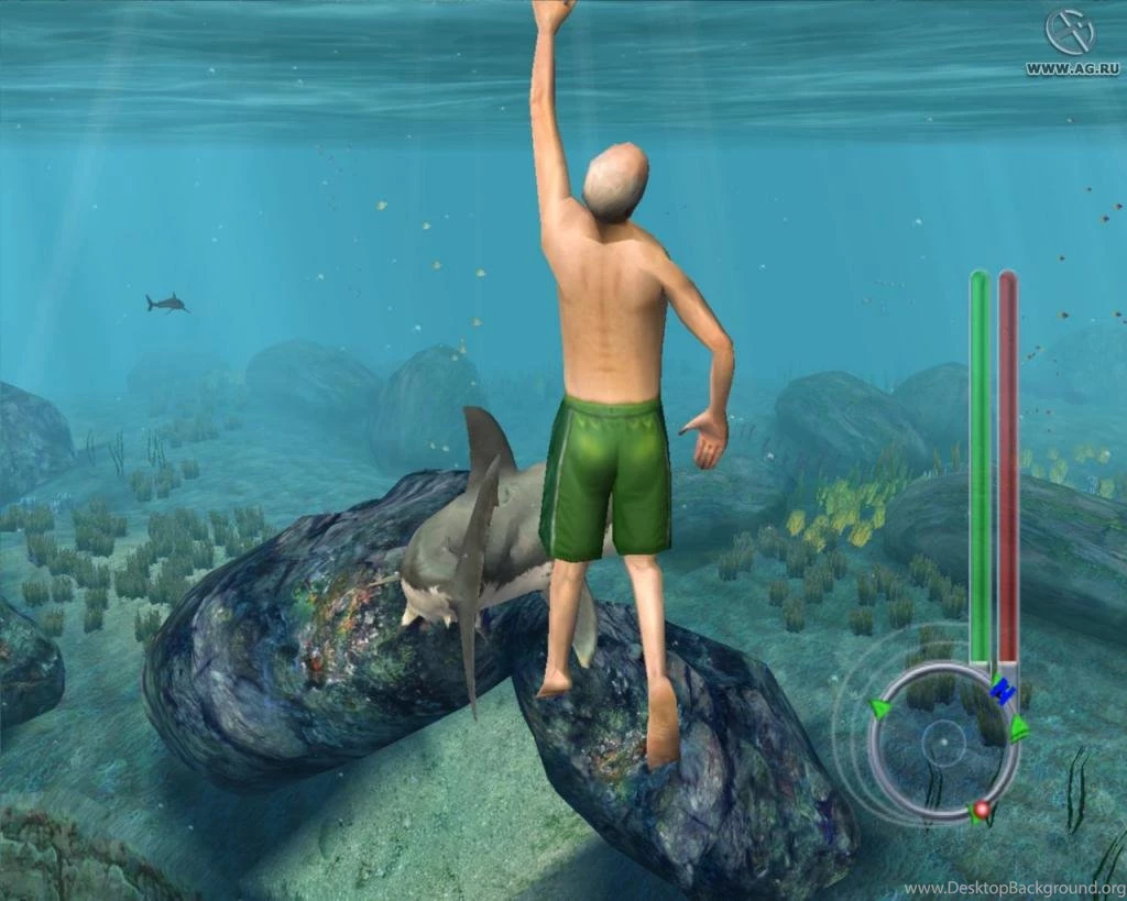 Jaws (id: 64399) – BUZZERG