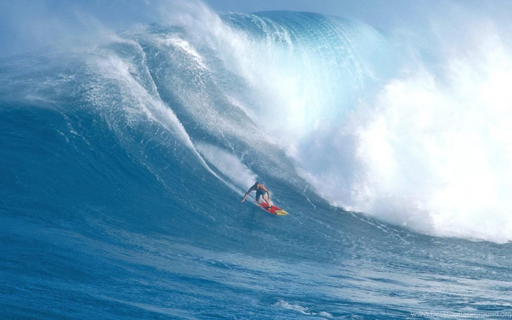 Surfing Jaws, Sports, Game, Brave, Water, 1920x1200 HD Wallpapers ...