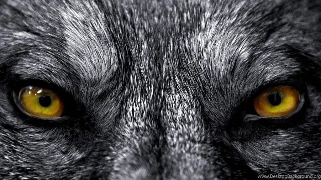 Download Artwork 3D Wallpapers 1920X1080