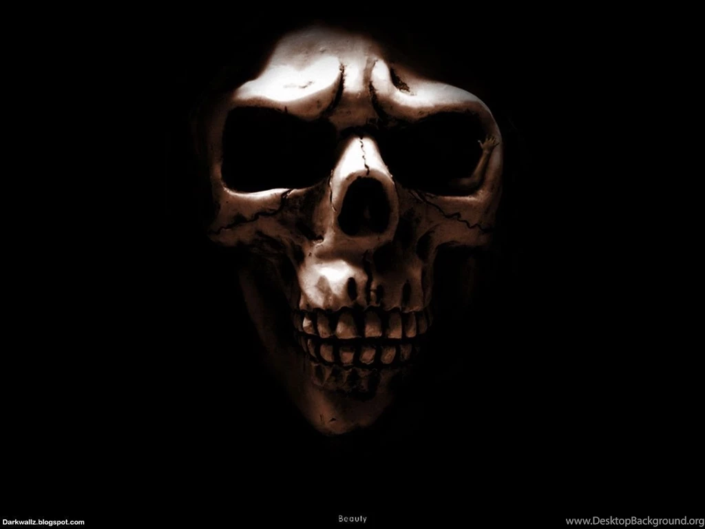 Skulls Desktop Wallpapers Page
