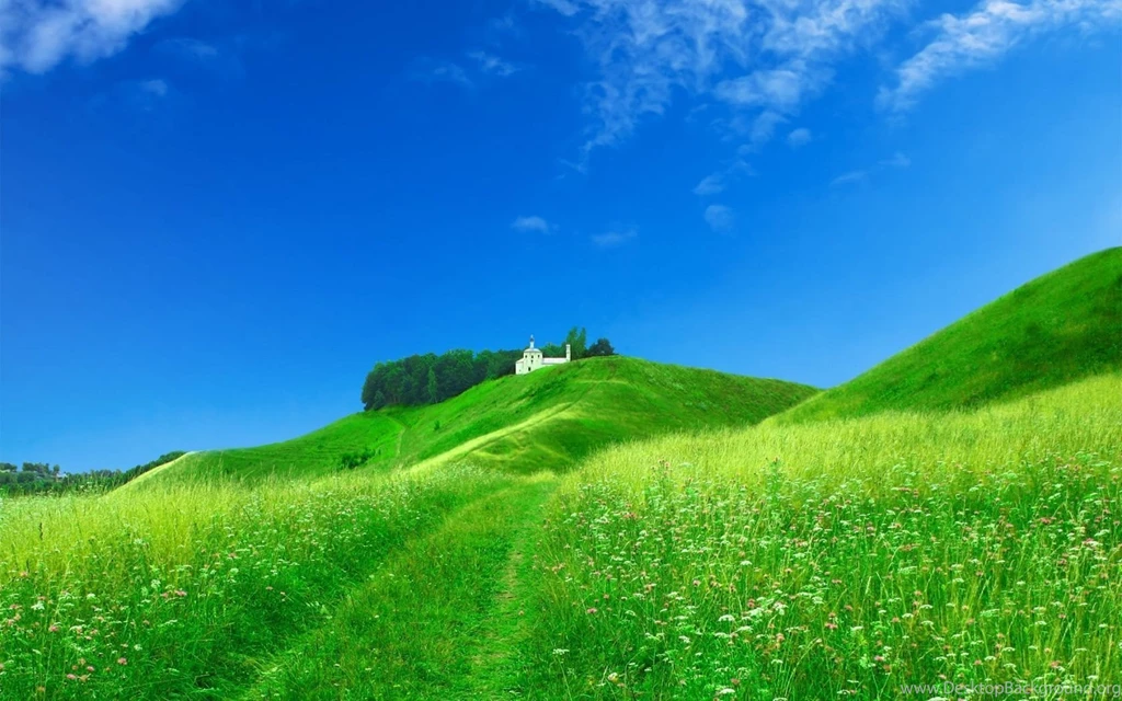 1680x1050 Middle Of Nature Desktop PC And Mac Wallpapers