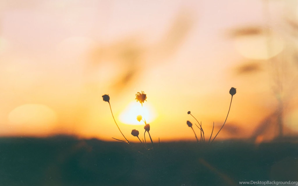 Free Nature Mac Wallpapers, iMac Wallpapers, Retina MacBook Pro ...