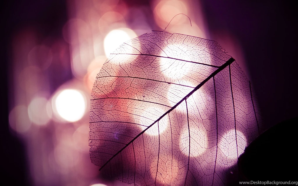 Best 20+ Cool Windows 8 Wallpapers HD 1920x1200 Backgrounds