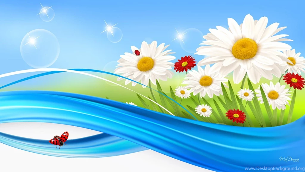 Daisy Bubbles >> HD Wallpaper, Get It Now!
