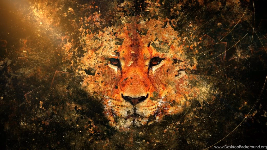 Lioness Abstract Wallpapers By Rapha51 On DeviantArt